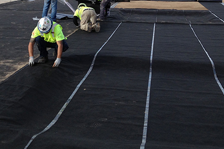 grouts